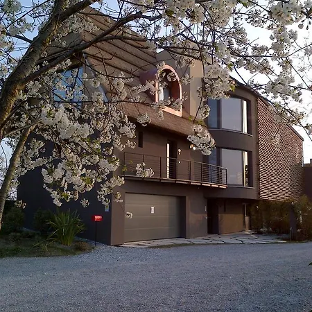 Boutique Oche Selvatiche 호텔